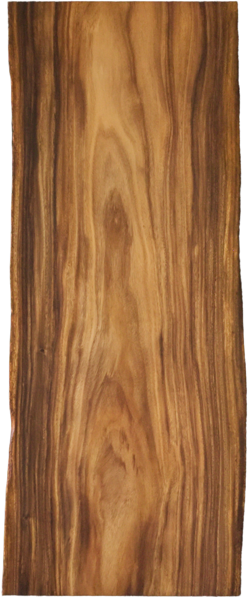 モンキーポッド　一枚板　未加工　天板のみ 一枚板モンキーポッド輪切り 天板のみ ＜ウレタン塗装＞ ita