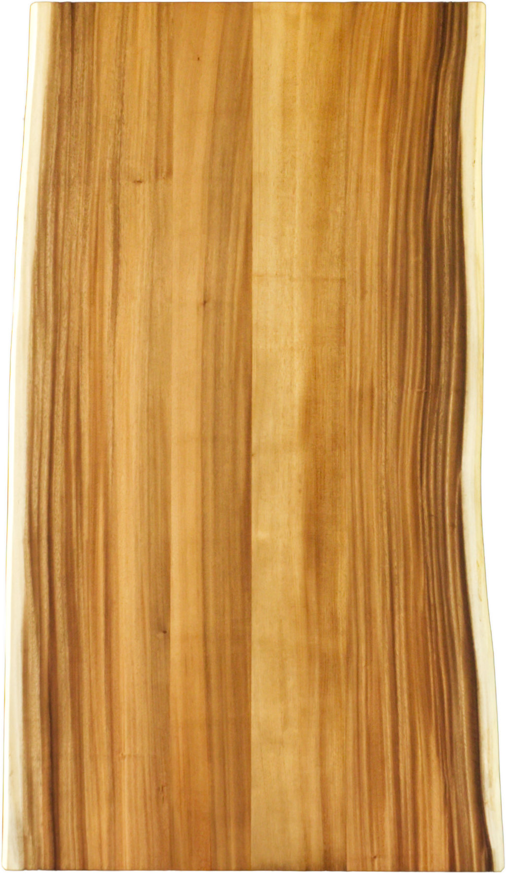 高品質　ベルベットモンキー 全身剥製 ★ A MEISTER SHEET 