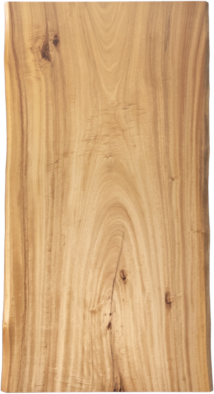 楠（クス）一枚板天板／1700mm 【A8855】 【一枚板テーブル・無垢材