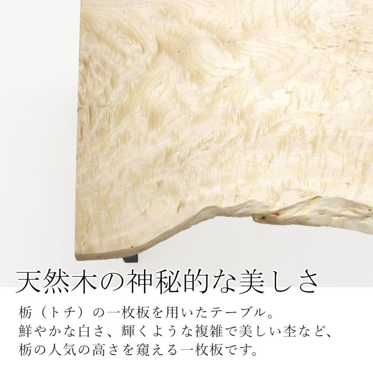 栃トチ　一枚板　ダイニングテーブル 売約済み】栃（トチ）一枚板テーブル（国産/二本脚付） – 木匠舘