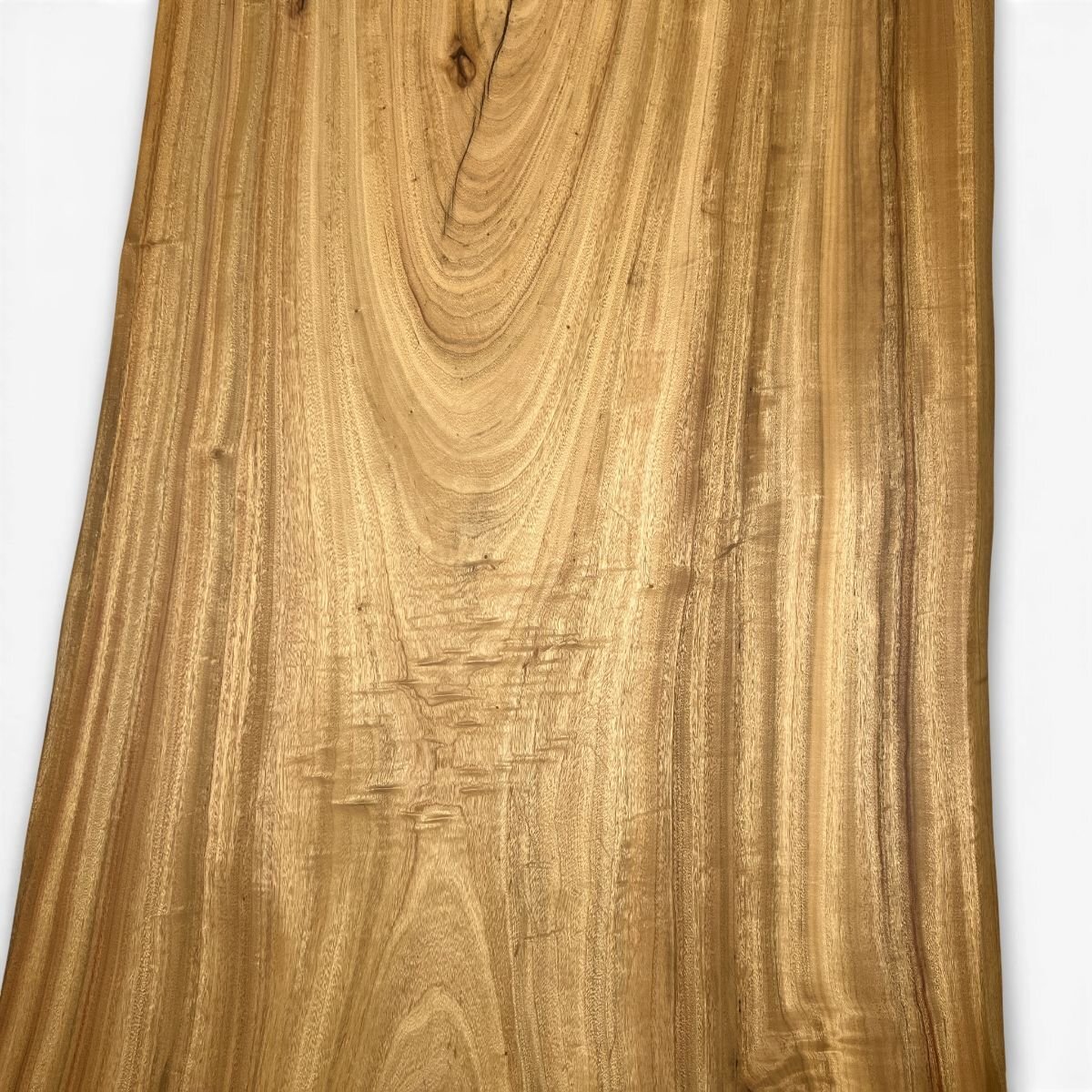 楠（クス）一枚板天板／1700mm 【A8855】 【一枚板テーブル・無垢材