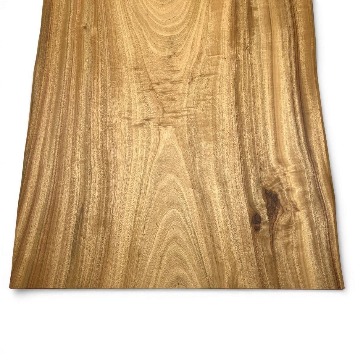 楠（クス）一枚板天板／1700mm 【A8855】 【一枚板テーブル・無垢材