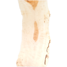 楓（カエデ）一枚板天板