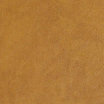 バロン01 キャメル