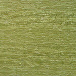 アネルカ イエローグリーン