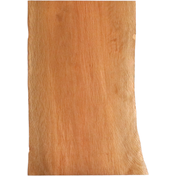 C589_2.png