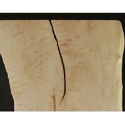 62763946-0430-4e8e-a394-424669f211d3.JPG_thumbnail