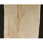 62763946-24ec-4c84-9cbb-4e6e69f211d3.JPG_thumbnail