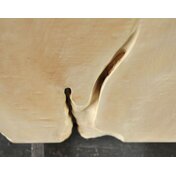 6276394c-d734-47c2-8141-4c5b69f211d3.JPG_thumbnail