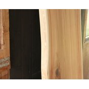 5d57b681-7df0-4730-a204-891f3014caa2.JPG_thumbnail