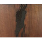 5405e1ec-d666-40e0-bc75-6246cbdaaeeb.JPG_thumbnail