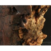 7a7c4387-1bdc-4901-99e5-7db4a6c787fc.JPG_thumbnail