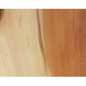 b3bde0ed-d55f-4e3f-b822-58a73bb474ae.JPG_thumbnail