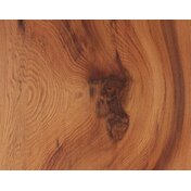 799c4e8b-e5f8-4414-ae62-a6dee0765fac.JPG_thumbnail