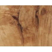 193d658f-58f3-41e9-b61e-3e186d338ffb.JPG_thumbnail