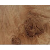 2dd953b4-51f4-456e-b911-05c8f8ca997e.JPG_thumbnail