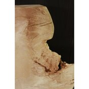 09719aee-fad6-4375-b041-e74067e4a1f4.JPG_thumbnail