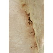 fae8caf4-6fbc-4774-8034-30a9897bf419.JPG_thumbnail