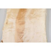 23901a4d-c940-4daf-9d41-aaa9ea4564d9.JPG_thumbnail