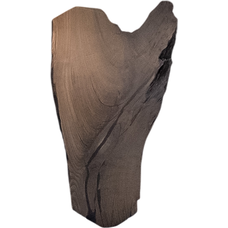 神代タモ（ジンダイタモ）