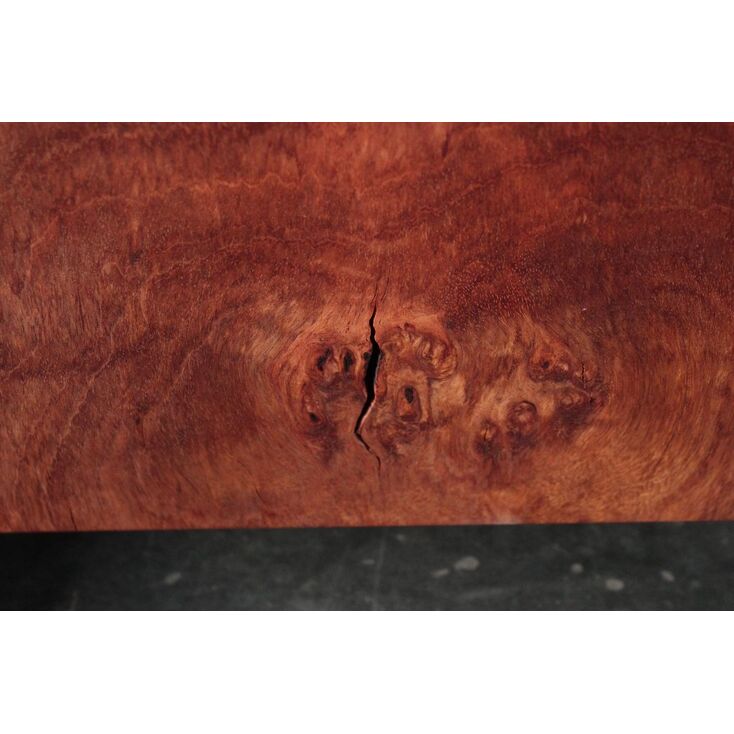 写真14