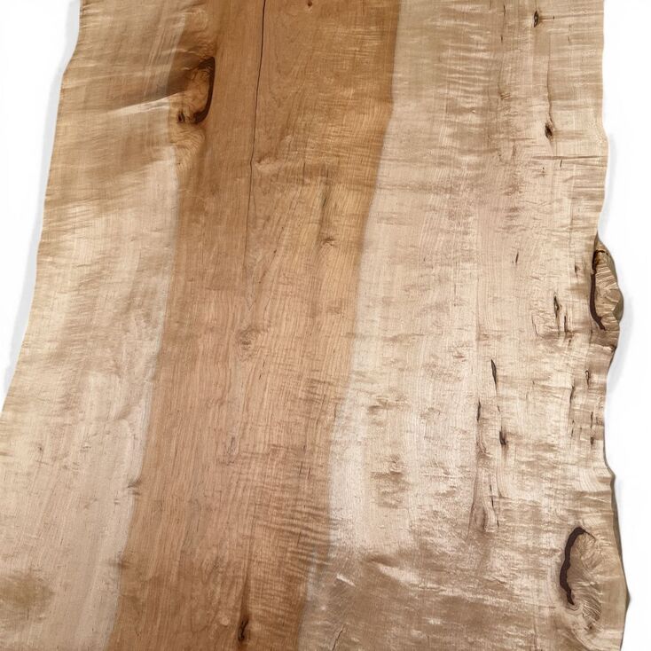 写真12