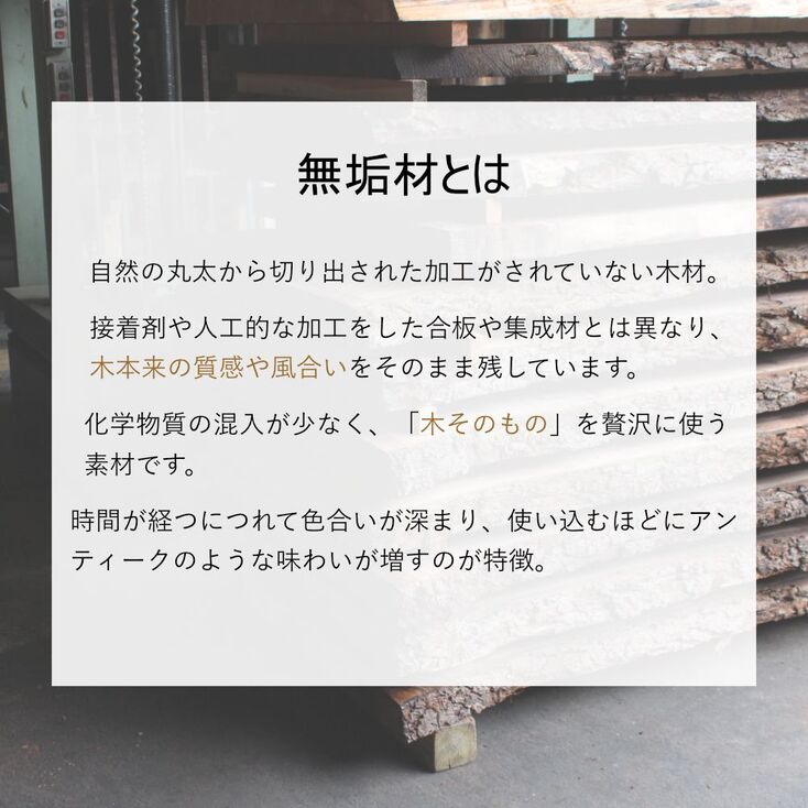 写真17