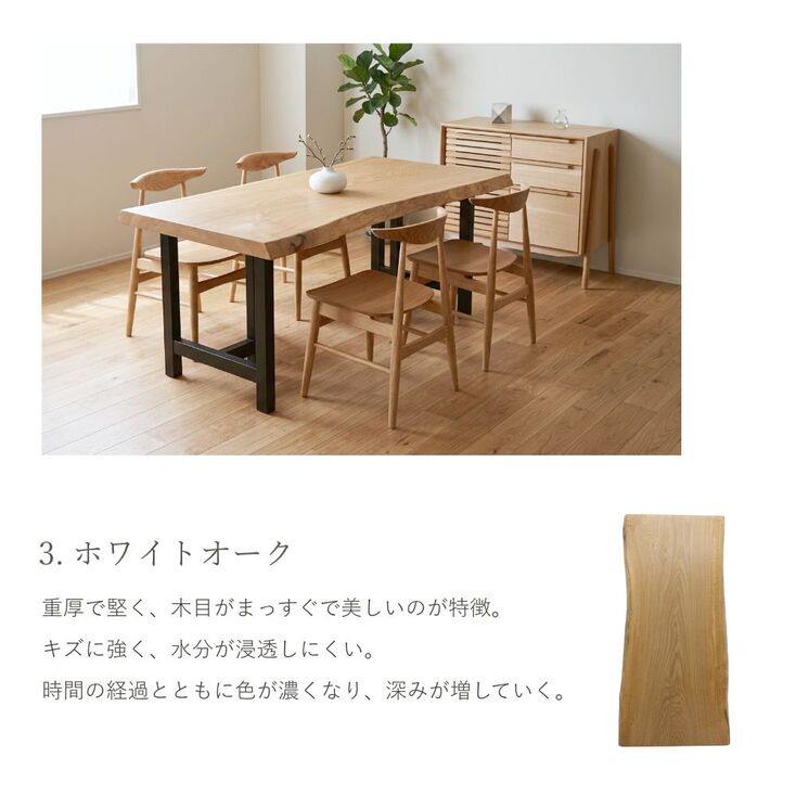 写真12