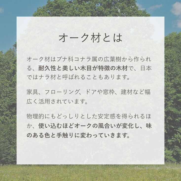 写真15